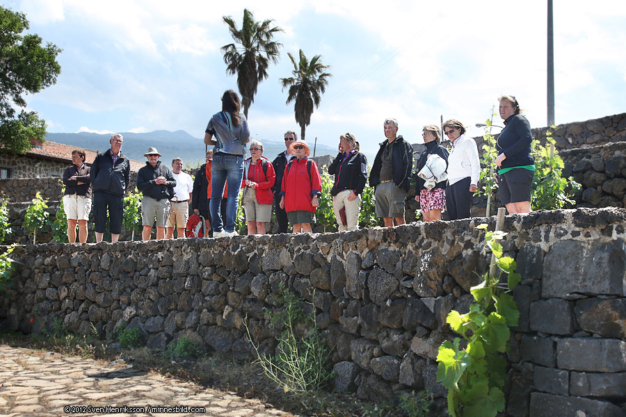 Sicilien Ving�rd Patria